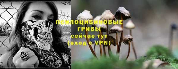 шишки Балабаново