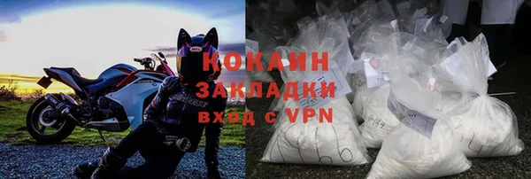 трава Белокуриха
