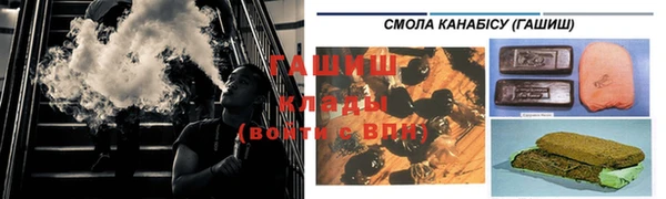 трава Белокуриха